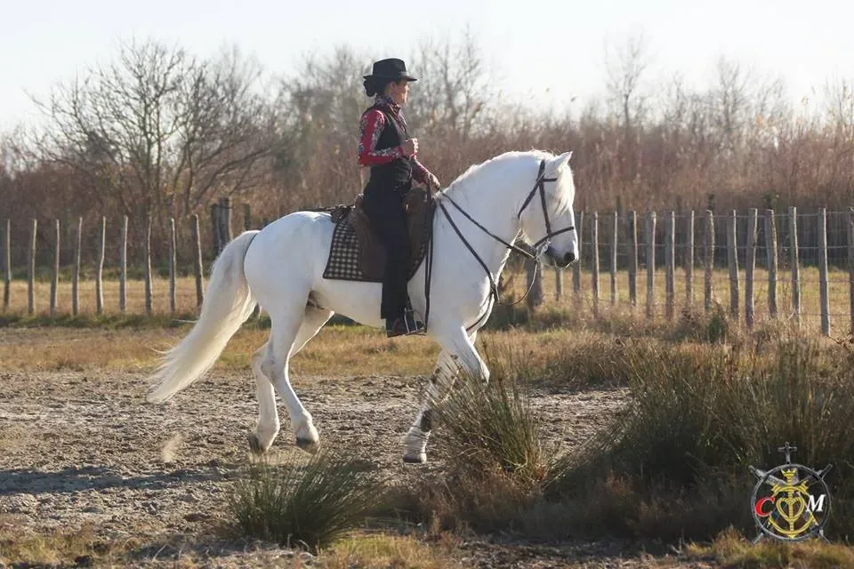 Stage équitation à Saint-Geniès-de-Malgoirès