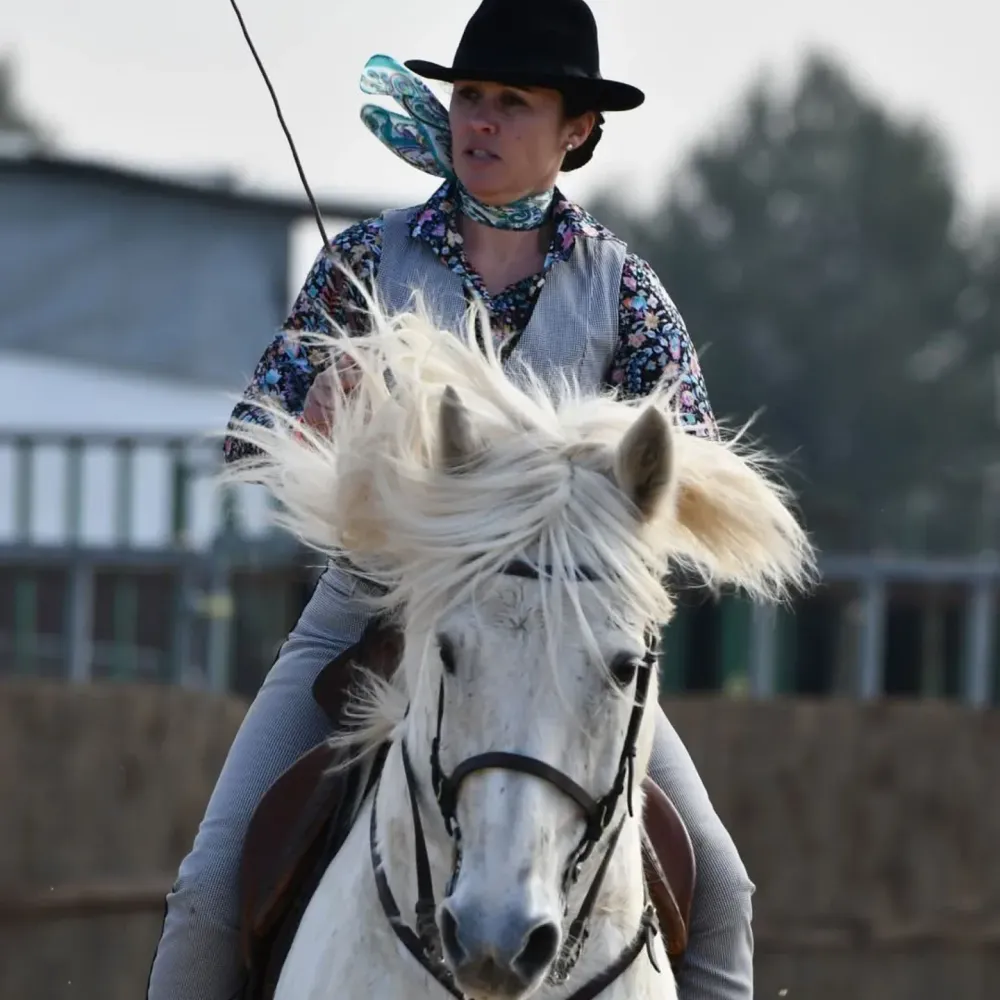 cheval (1)